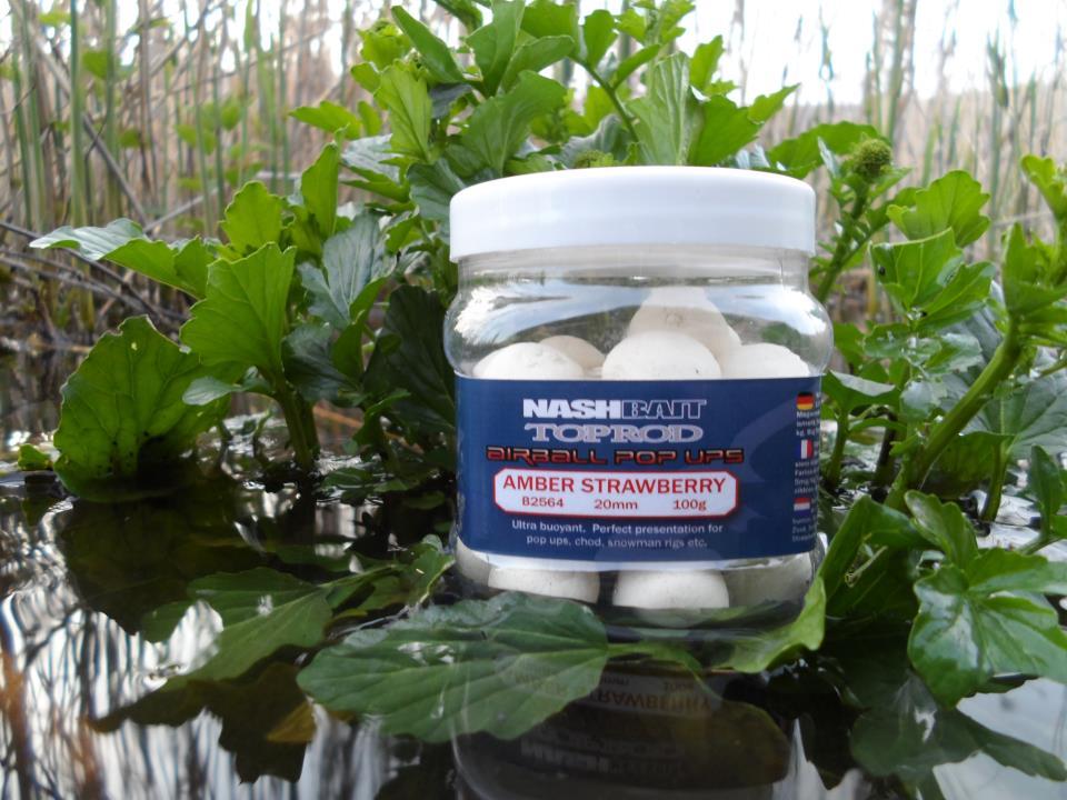 nash - 55509143761337738602038100163n.jpg